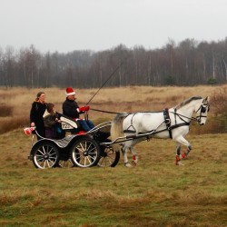 Afbeelding invoegen